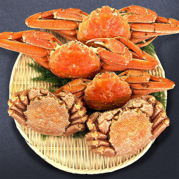 【極上二大蟹セット】大ズワイ姿 × 毛蟹2尾（3.3kg）