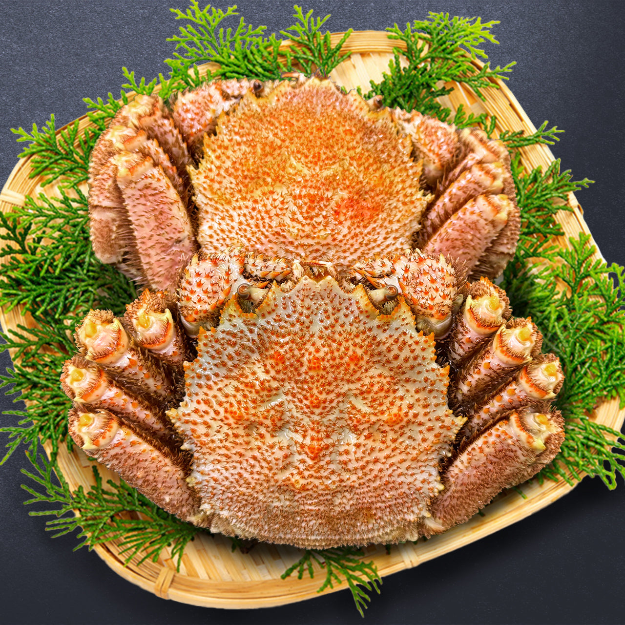 【濃厚味噌を堪能】毛ガニ 姿 2尾セット（1.3kg）