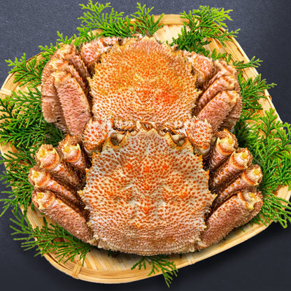 【濃厚味噌を堪能】毛ガニ 姿 2尾セット（1.3kg）