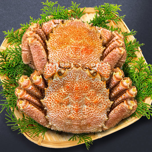 【濃厚味噌を堪能】毛ガニ 姿 2尾セット（1.3kg）