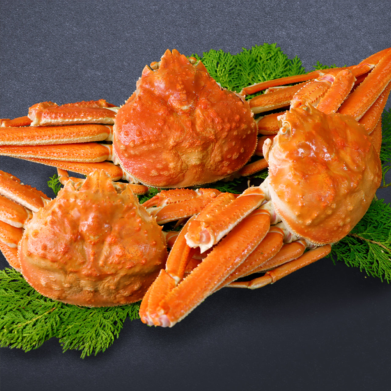 【贅沢丸ごと】北海道産 オオズワイ姿 （2kg）