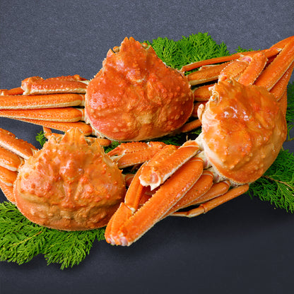 【贅沢丸ごと】北海道産 オオズワイ姿 （2kg）